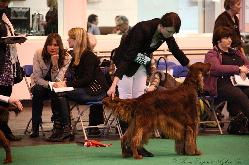 Crufts2011_2 128.jpg